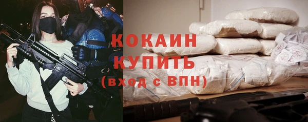 гашик Балахна