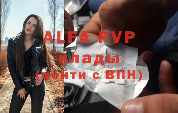 гашик Балахна