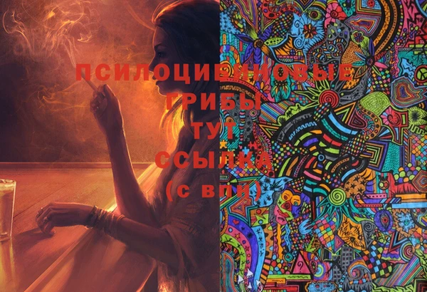 гашик Беломорск